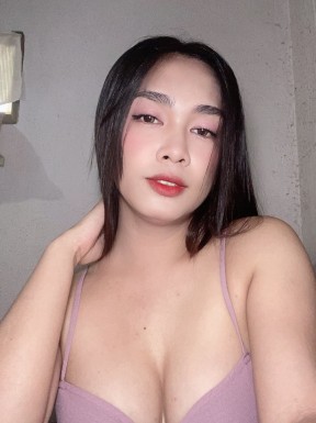 Thai ladyboys for dating / Ladyboys from Philippines for dating