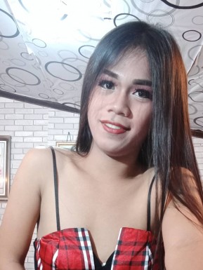 Thai ladyboys for dating / Ladyboys from Philippines for dating